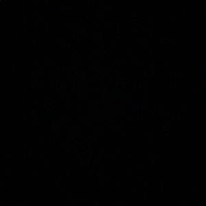 Meet your Posher, Velia